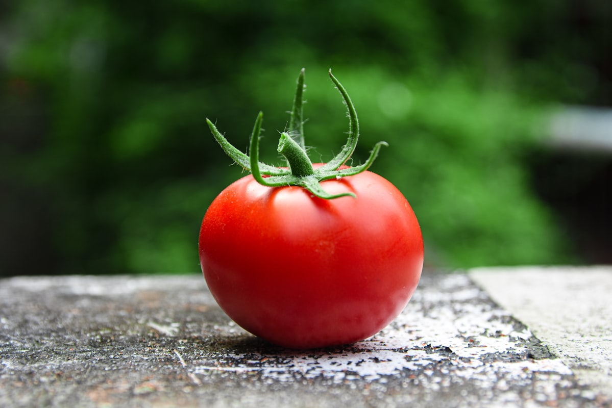 Verdure a foglia verde
